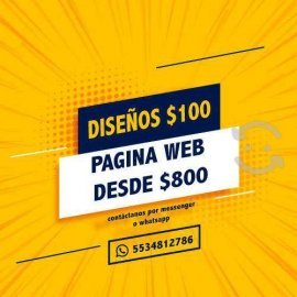 Diseño Y Pagina Web, $ 100.00