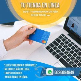 Diseño de paginas web y tiendas en Línea, $ 2,200.00