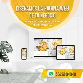 Diseño de paginas web y tiendas en Línea, $ 2,200.00