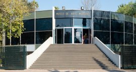  Museo de Arte Moderno, Museos