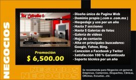 Diseñamos tu Pagina Web, $ 6,500.00